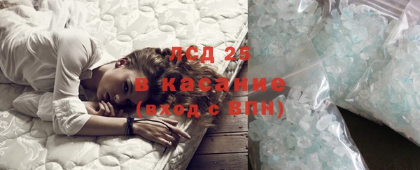 стафф Алексин