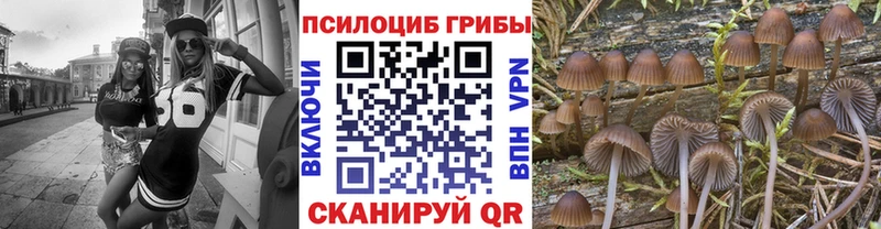 даркнет сайт  Вышний Волочёк  darknet как зайти  Псилоцибиновые грибы Cubensis 